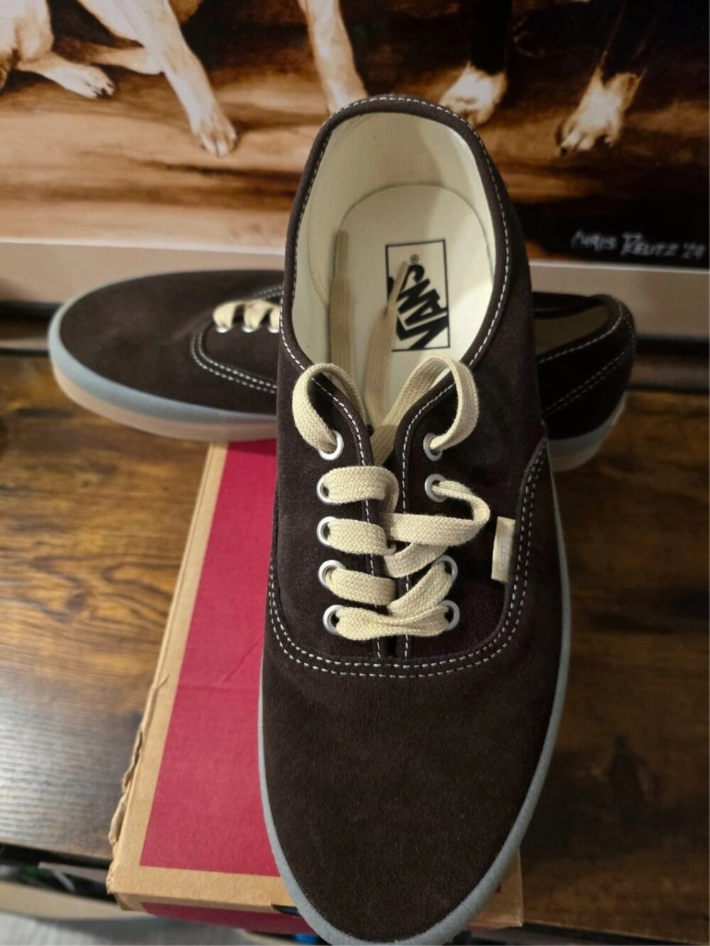 VANS Authentic Coffee / Demitasse / Brown Suede VN000D7Y3N1 Men's Size 13 NEW